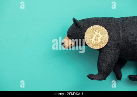 Moneta criptovaluta Bitcoin con un orso grizzly. Bitcoin bearish che commercia Foto Stock