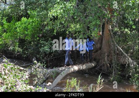 I residenti rurali del villaggio a Sane in Limpopo ancora attraversano i fiumi per ferry i bambini alla scuola a causa di problemi di carenza di infrastrutture Foto Stock