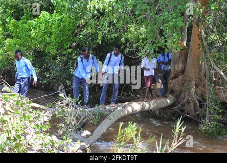 I residenti rurali del villaggio a Sane in Limpopo ancora attraversano i fiumi per ferry i bambini alla scuola a causa di problemi di carenza di infrastrutture Foto Stock