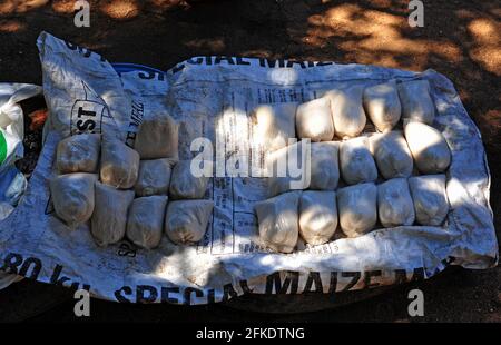 Raccoglitrici di sale che lavorano presso le antiche saline di Baleni a Limpopo, Sudafrica Foto Stock