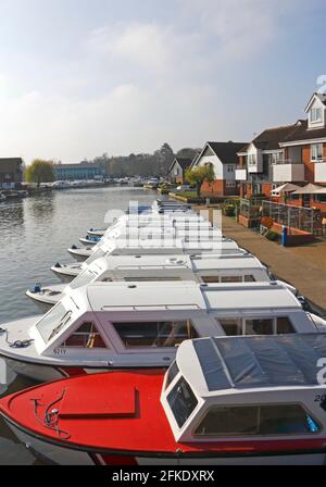 Una fila di barche ormeggiate noleggio giorno sul fiume Bure sul Norfolk Broads visto da Wroxham Bridge, Wroxham, Norfolk, Inghilterra, Regno Unito. Foto Stock