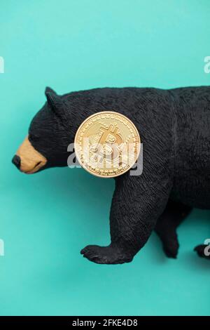 Moneta criptovaluta Bitcoin con un orso grizzly. Bitcoin bearish che commercia Foto Stock