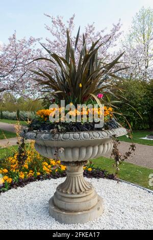 Inghilterra, Londra, Regent's Park, Avenue Gardens, Giant Vase con fiori di primavera e fiori di ciliegia Foto Stock