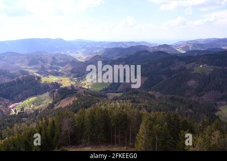 Vista dalla torre Buchkopf in Oppenau-Maisach Foresta Nera Germania. Baden Wuerttemberg, Germania, Europa Foto Stock