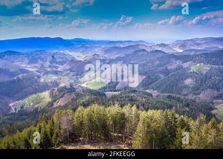 Vista dalla torre Buchkopf in Oppenau-Maisach Foresta Nera Germania. Baden Wuerttemberg, Germania, Europa Foto Stock