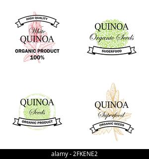 Set di logo quinoa vintage con elemento disegnato a mano. Illustrazione vettoriale nello stile di schizzo Illustrazione Vettoriale