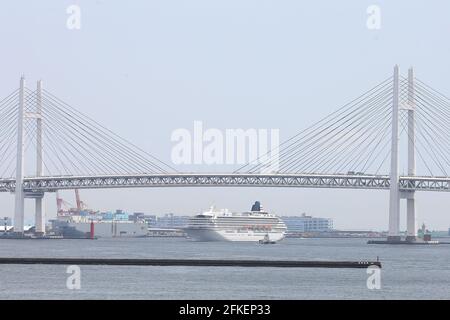 Kanagawa, Giappone. 01 Maggio 2021. Asuka II, la nave da crociera più grande del Giappone, ha confermato che un passeggero è stato infettato con Covid-19 durante la navigazione, e la nave è stata fermata e restituita al porto di Yokohama. Il 1 maggio 2021 a Kanagawa, Giappone. (Foto di Kazuki Oishi/Sipa USA) **Japan out** Credit: Sipa USA/Alamy Live News Foto Stock