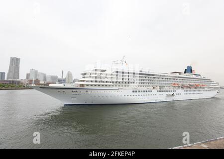 Kanagawa, Giappone. 01 Maggio 2021. Asuka II, la nave da crociera più grande del Giappone, ha confermato che un passeggero è stato infettato con Covid-19 durante la navigazione, e la nave è stata fermata e restituita al porto di Yokohama. Il 1 maggio 2021 a Kanagawa, Giappone. (Foto di Kazuki Oishi/Sipa USA) **Japan out** Credit: Sipa USA/Alamy Live News Foto Stock