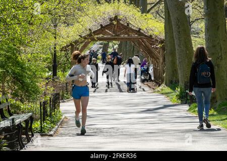 La passerella attraverso Arbor in Central Park, NYC Foto Stock