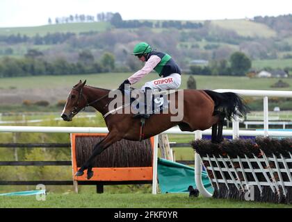 Stormy Ireland guidato da Danny Mullins sulla strada per vincere il Coolmore Kew Gardens Irish EBF Mares Champion Hurdle durante il quinto giorno del Punchestown Festival all'ippodromo di Punchestown nella contea di Kildare, Irlanda. Data di emissione: Sabato 1 maggio 2021. Foto Stock