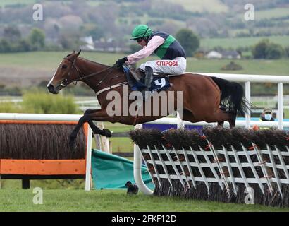 Stormy Ireland guidato da Danny Mullins sulla strada per vincere il Coolmore Kew Gardens Irish EBF Mares Champion Hurdle durante il quinto giorno del Punchestown Festival all'ippodromo di Punchestown nella contea di Kildare, Irlanda. Data di emissione: Sabato 1 maggio 2021. Foto Stock