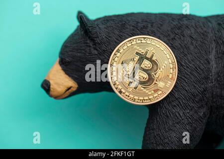 Moneta criptovaluta Bitcoin con un orso grizzly. Bitcoin bearish che commercia Foto Stock