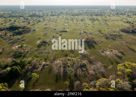 Pascoli dal Pantanal del Sud, Brasile Foto Stock