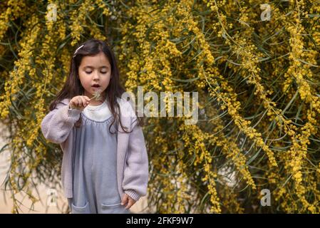 Bambina che soffia il dente di leone su uno sfondo giallo dell'albero in fiore. Foto Stock