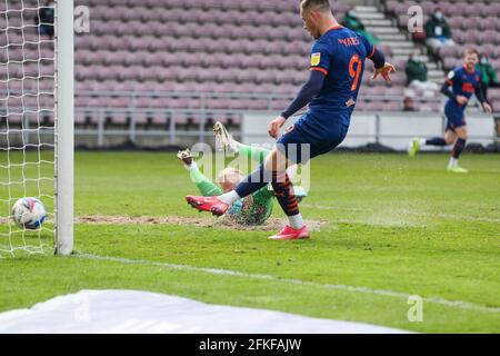 NORTHAMPTON, INGHILTERRA. 1 MAGGIO: Jerry Yates segna per Blackpool, per estendere il loro vantaggio di rendere 2 - 0 contro Northampton Town, durante lo Sky Bet League uno partita tra Northampton Town e Blackpool al PTS Academy Stadium di Northampton sabato 1 maggio 2021. (Credit: John Cripps | MI News) Credit: MI News & Sport /Alamy Live News Foto Stock