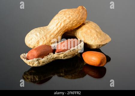 Arachide su superficie nera lucida con riflessione. Due arachidi con due noccioli con macro a shell aperta primo piano, alta risoluzione piena profondità di campo. Foto Stock