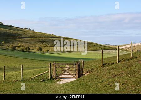Una porta e un percorso nei Downs Sud su un Mattina di primavera soleggiata Foto Stock
