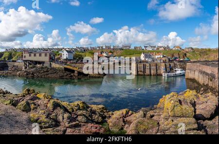 Vista del porto di pesca a St Abbs in Scottish Borders, Scozia, Regno Unito Foto Stock