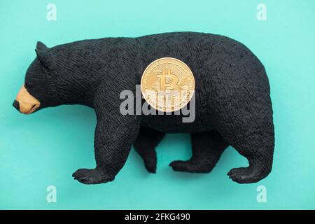 Moneta criptovaluta Bitcoin con un orso grizzly. Bitcoin bearish che commercia Foto Stock