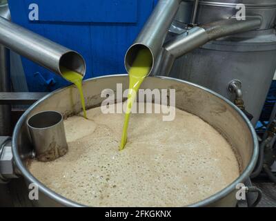 Olio vergine d'oliva versato in un serbatoio a una pressa a freddo fabbrica Foto Stock