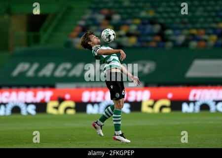 Lisbona, Portogallo. 1 maggio 2021. Daniel Braganca dello Sporting CP in azione durante la partita di calcio della Portuguese League tra Sporting CP e CD Nacional allo stadio Jose Alvalade di Lisbona, Portogallo, il 1° maggio 2021. Credit: Pedro Feuza/ZUMA Wire/Alamy Live News Foto Stock