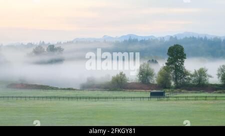 Una vista mattutina attraverso l'idilliaca Valle di Snoqualmie in Washington occidentale durante la primavera come nebbia drappeggia la valle Foto Stock