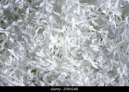 Sfondo a trama di carta sminuzzata, vista dall'alto di molte strisce di carta bianca. Pila di carta tagliata come confetti per partito o riempitivo per spedizione fragile i Foto Stock