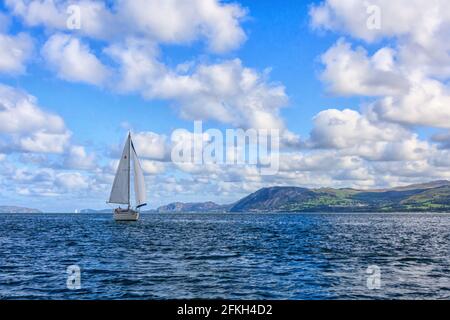 Barca a vela nello stretto di Menai, tra cui Anglesey e il Terraferma gallese Foto Stock