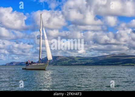 Barca a vela nello stretto di Menai, tra cui Anglesey e il Terraferma gallese Foto Stock