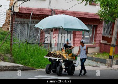 Medellin, Colombia - Marzo 28 2021: Giovani uomini che vendono avocado, ananas e melone in un Carrello a ombrello Foto Stock