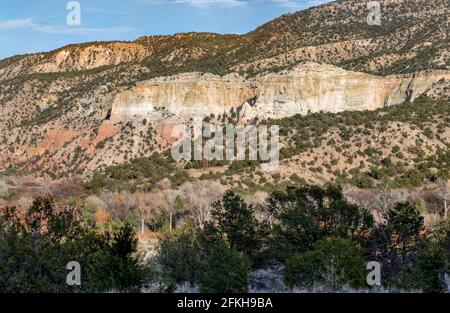 La Carson National Forest è una delle cinque foreste nazionali del New Mexico. Foto Stock