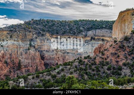 La Carson National Forest è una delle cinque foreste nazionali del New Mexico. Foto Stock