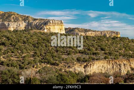 La Carson National Forest è una delle cinque foreste nazionali del New Mexico. Foto Stock