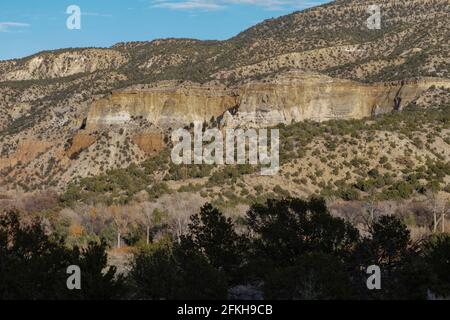 La Carson National Forest è una delle cinque foreste nazionali del New Mexico. Foto Stock