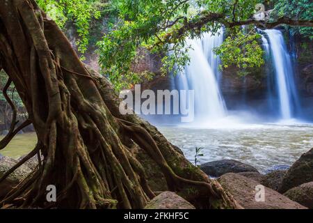 Paesaggio di cascata nella foresta tropicale. Acqua dolce che scorre dalla scogliera. Grande albero di banyan in primo piano. Parco Nazionale di Khao Yai. Thailandia. Foto Stock