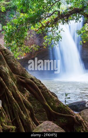 Paesaggio di cascata nella foresta tropicale. Acqua dolce che scorre dalla scogliera. Grande albero di banyan in primo piano. Parco Nazionale di Khao Yai. Thailandia. Foto Stock