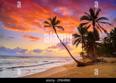 Spiaggia di Punta Cana all'alba, Repubblica Dominicana, Caraibi Foto Stock