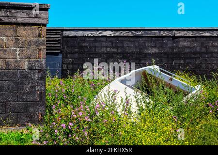 Idea di staycation. Una vecchia barca a motore deserta con erbacce e fogliame che crescono dentro e intorno ad essa a Slade Beach, Hastings. East Sussex, Inghilterra, Regno Unito. Foto Stock