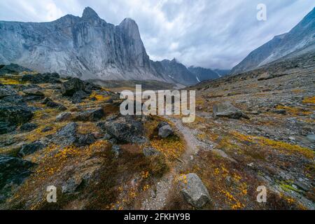 Scatto UltraWide della faccia sud-ovest del Mt. Thor, la più alta scogliera verticale sulla Terra, in un giorno nuvoloso di settembre. Escursioni nella valle artica remota e selvaggia di Foto Stock