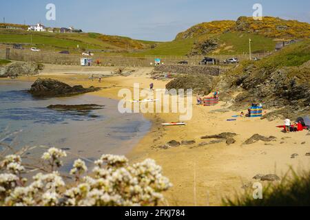 Porth Dafarch, Anglesey. Foto Stock