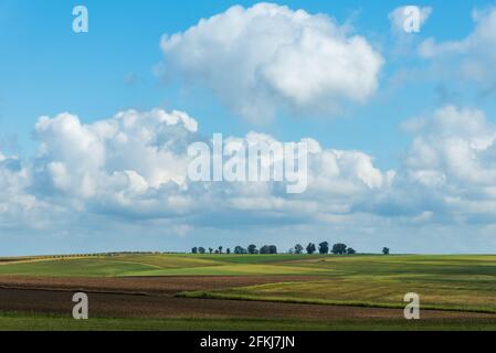 Paesaggio di alcuni campi coltivati, su una piccola collina con alberi in cima e il cielo coperto di nuvole. Foto Stock