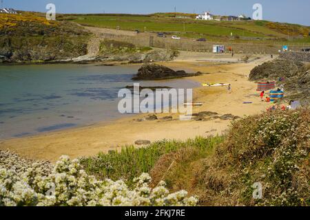 Porth Dafarch, Anglesey. Foto Stock