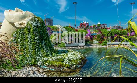 Dubai Miracle Garden - Megaparc negli Emirati Arabi Uniti Foto Stock