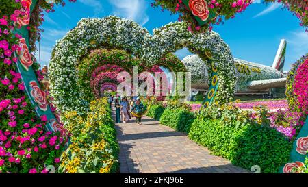 Dubai Miracle Garden - Megaparc negli Emirati Arabi Uniti Foto Stock