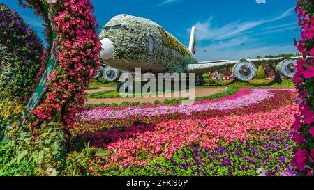 Dubai Miracle Garden - Megaparc negli Emirati Arabi Uniti Foto Stock