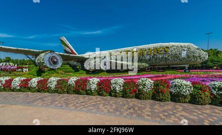 Dubai Miracle Garden - Megaparc negli Emirati Arabi Uniti Foto Stock