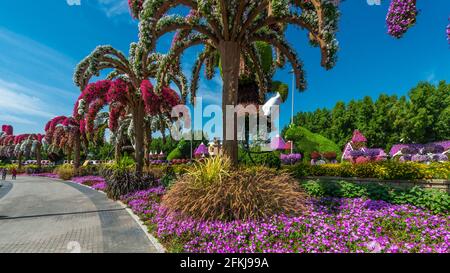 Dubai Miracle Garden - Megaparc negli Emirati Arabi Uniti Foto Stock