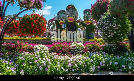 Dubai Miracle Garden - Megaparc negli Emirati Arabi Uniti Foto Stock