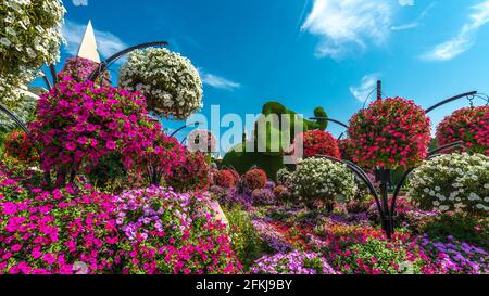 Dubai Miracle Garden - Megaparc negli Emirati Arabi Uniti Foto Stock