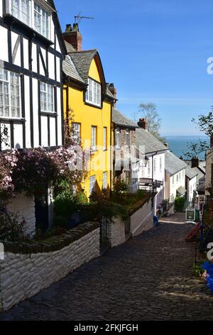 Case sulla strada principale a Clovelly, Devon nord, in primavera sole Foto Stock